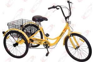 6-Speed SHIMANO Shifter 24" 3-Wheel Adult Tricycle Bicycle Trike Cruise Bike/Hardy